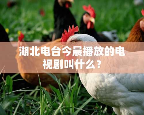 湖北电台今晨播放的电视剧叫什么？