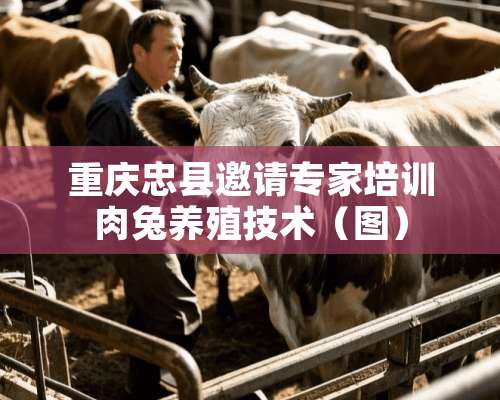 重庆忠县邀请专家培训肉兔养殖技术（图）