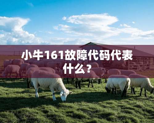 小牛161故障代码代表什么？