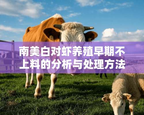 南美白对虾养殖早期不上料的分析与处理方法