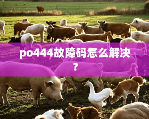 po444故障码怎么解决？