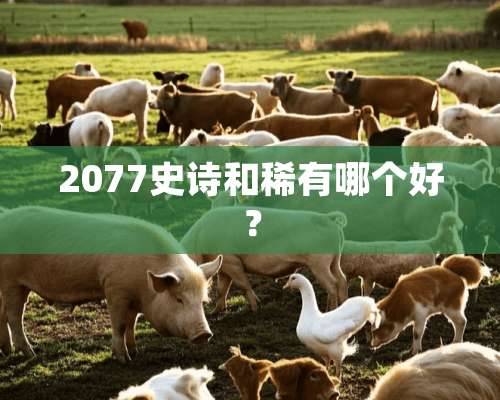 2077史诗和稀有哪个好？