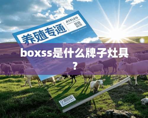 boxss是什么牌子灶具？