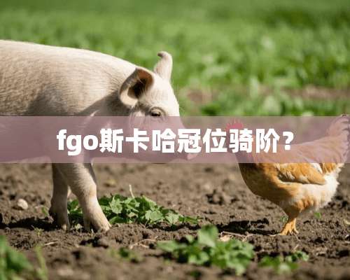 fgo斯卡哈冠位骑阶？