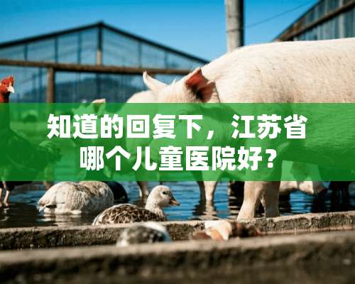 知道的回复下，江苏省哪个儿童医院好？