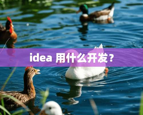 idea 用什么开发？