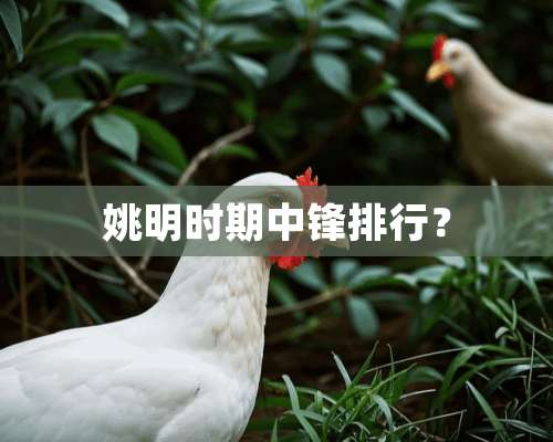 姚明时期中锋排行？