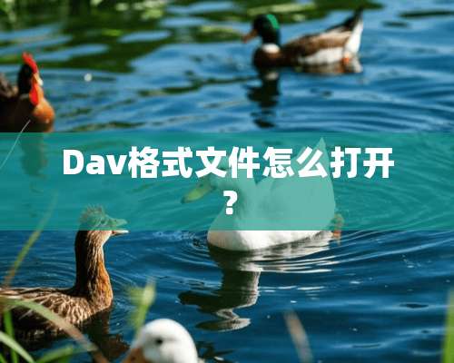 Dav格式文件怎么打开？