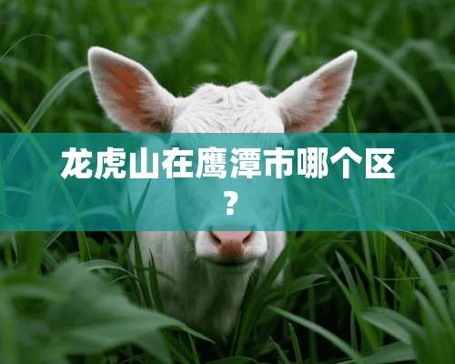 龙虎山在鹰潭市哪个区？