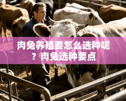 肉兔养殖要怎么选种呢？肉兔选种要点