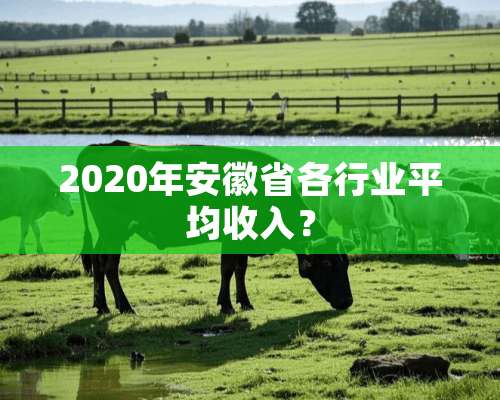 2020年安徽省各行业平均收入？