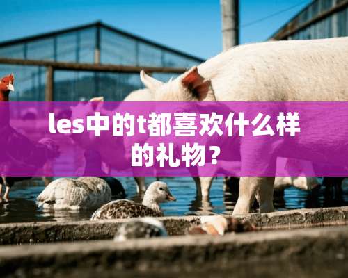 les中的t都喜欢什么样的礼物？