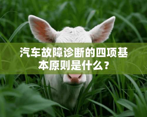 汽车故障诊断的四项基本原则是什么？