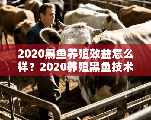 2020黑鱼养殖效益怎么样？2020养殖黑鱼技术