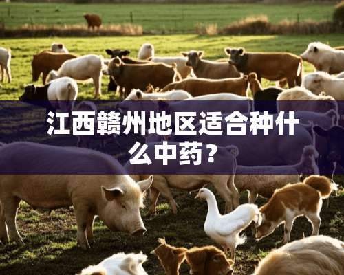 江西赣州地区适合种什么中药？