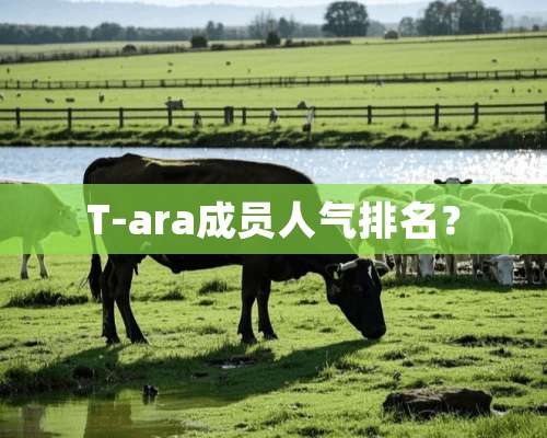 T-ara成员人气排名？