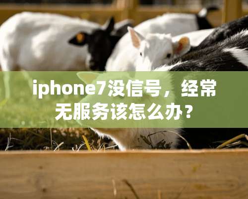 iphone7没信号，经常无服务该怎么办？