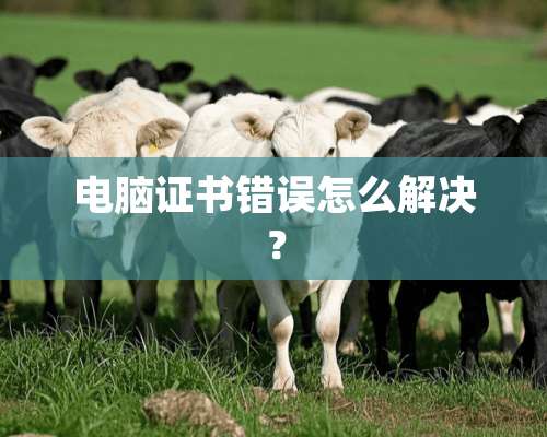 电脑证书错误怎么解决？