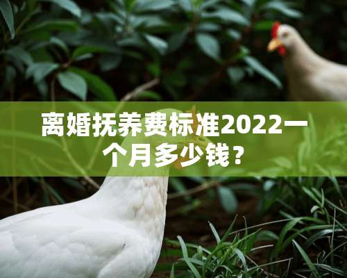 **抚养费标准2022一个月多少钱？