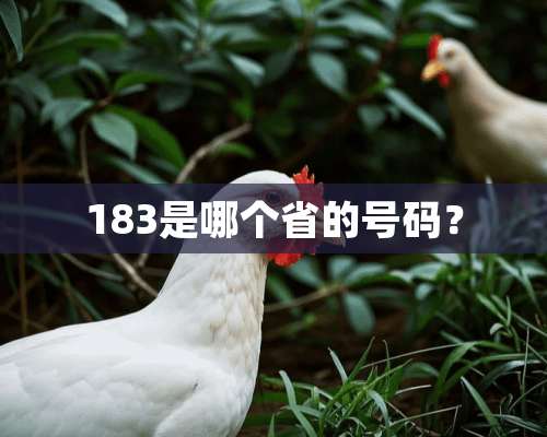 183是哪个省的号码？