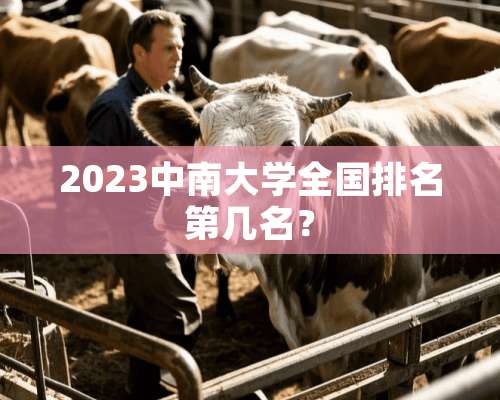 2023中南大学全国排名第几名？