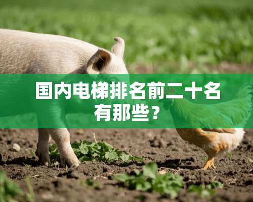 国内电梯排名前二十名有那些？