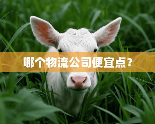 哪个物流公司便宜点？