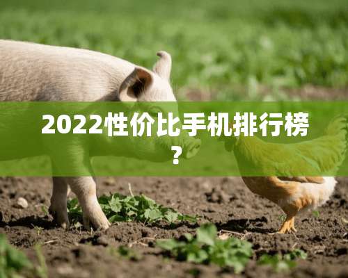 2022性价比手机排行榜？