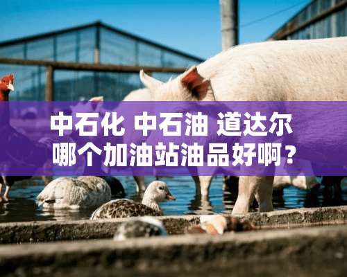 中石化 中石油 道达尔 哪个加油站油品好啊？