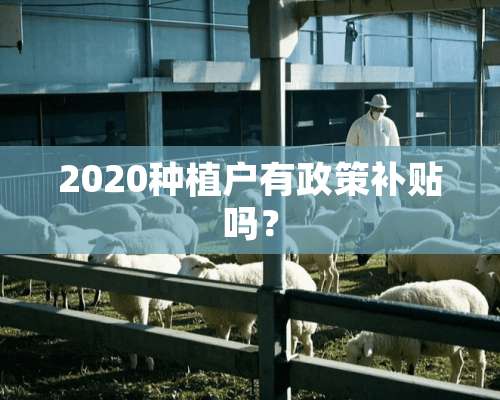 2020种植户有政策补贴吗？