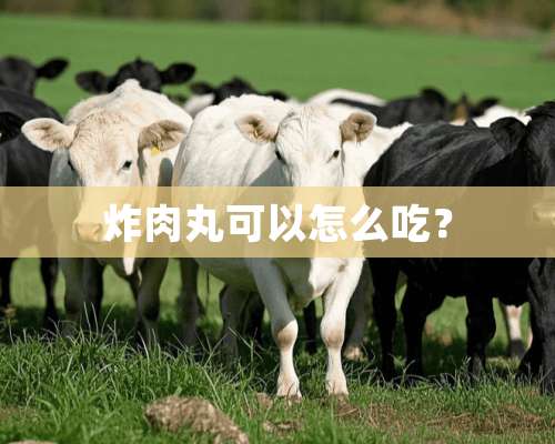 炸肉丸可以怎么吃？