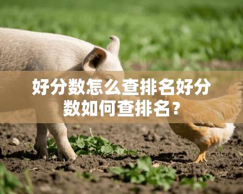 好分数怎么查排名好分数如何查排名？