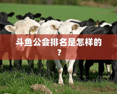 斗鱼公会排名是怎样的？