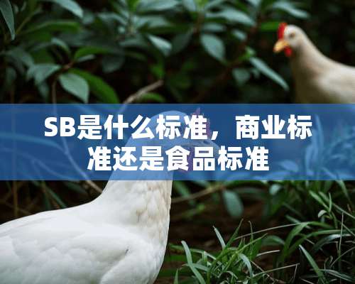 SB是什么标准，商业标准还是食品标准