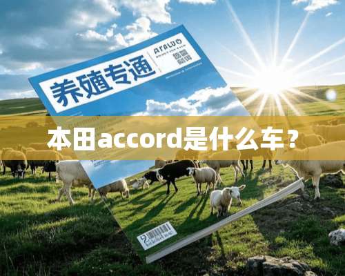 本田accord是什么车？