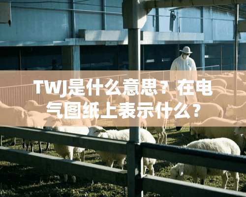 TWJ是什么意思？在电气图纸上表示什么？