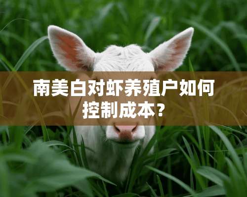 南美白对虾养殖户如何控制成本？