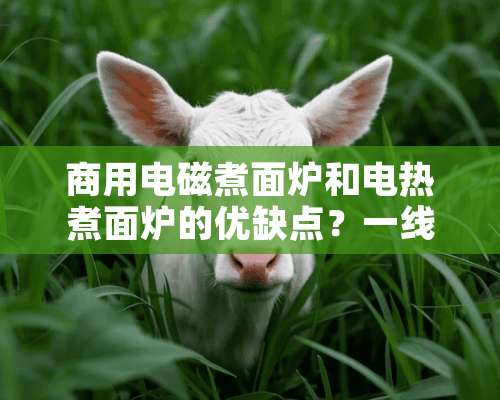 商用电磁煮面炉和电热煮面炉的优缺点？一线品牌有那些？那个厂家的产品更耐用更专业？