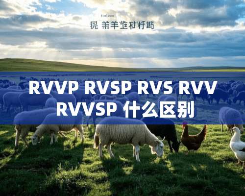 RVVP RVSP RVS RVV RVVSP 什么区别