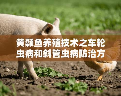 黄颡鱼养殖技术之车轮虫病和斜管虫病防治方法