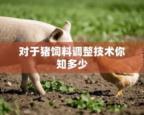 对于猪饲料调整技术你知多少