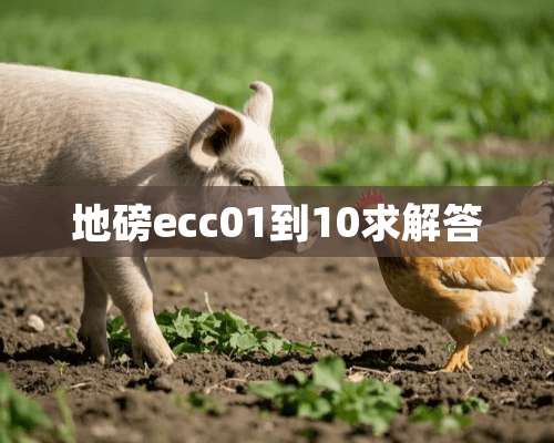 **ecc01到10求解答