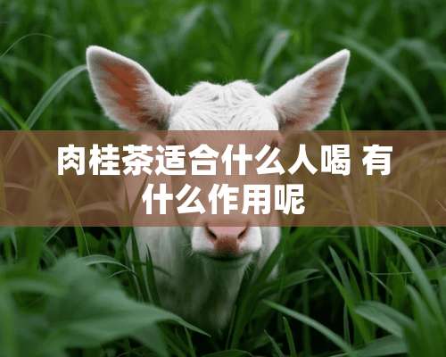 肉桂茶适合什么人喝 有什么作用呢