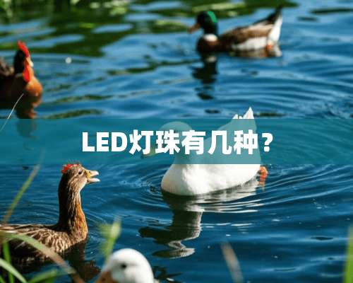 LED灯珠有几种？