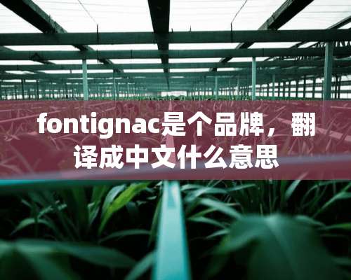 fontignac是个品牌，翻译成中文什么意思