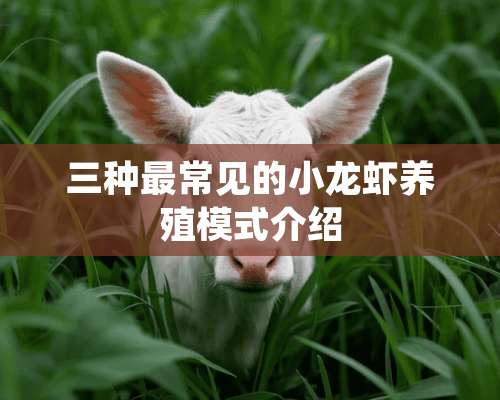 三种最常见的小龙虾养殖模式介绍