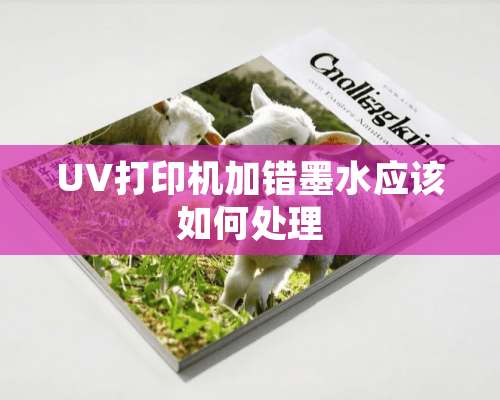 UV打印机加错墨水应该如何处理