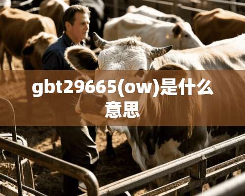 gbt29665(ow)是什么意思