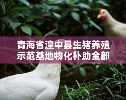 青海省湟中县生猪养殖示范基地物化补助全部到位