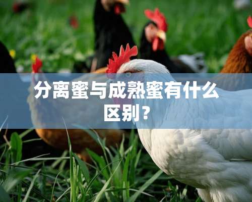 分离蜜与成熟蜜有什么区别？